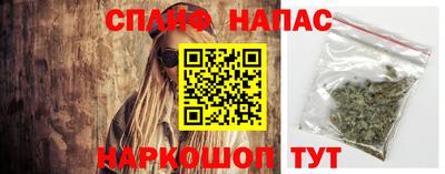 шишки Тула
