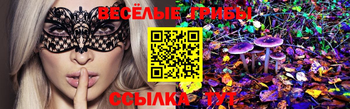Псилоцибиновые грибы MAGIC MUSHROOMS  Вход с VPN  Галлюциногенные грибы Psilocybine cubensis  Назарово 