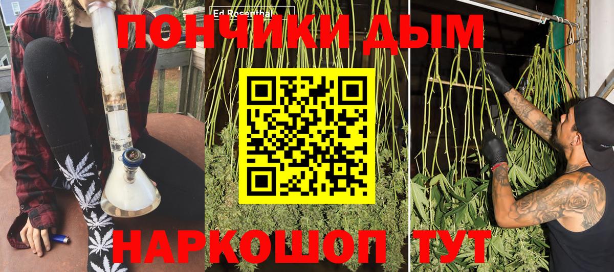 Бошки Шишки White Widow  Каннабис MAZAR  Назарово  Вход с VPN  Бошки Шишки план  Шишки марихуана конопля 